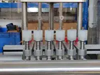 Automatic Bottle Rinsing Machine