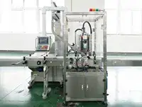 Automatic Single-Head Capping Machine