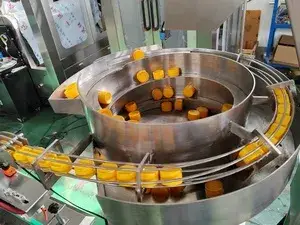 Chain Plate Conveyor System