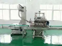 Automatic Spindle Capping Machine