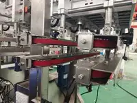 Automatic Spindle Capping Machine