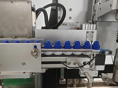 Cap Feeding Mechanism